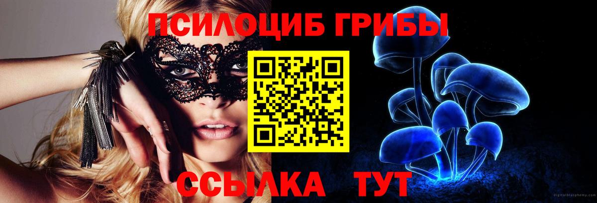 Галлюциногенные грибы мухоморы  Вход с VPN  Можайск 