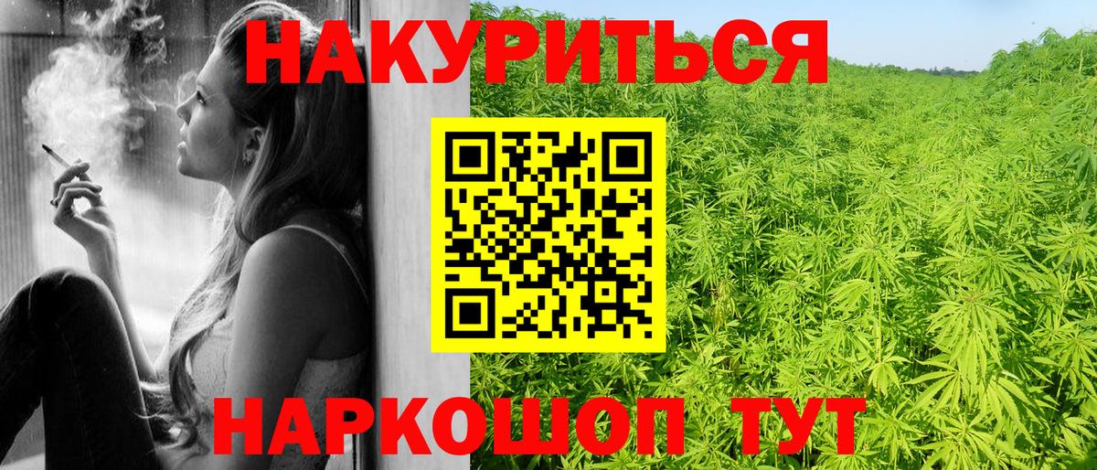 Бошки марихуана планчик  Конопля тримм  Можайск  Конопля сатива  Вход с VPN 